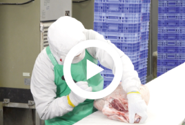 ⑤<ruby>切<rt>き</rt></ruby>れ・こすれ 2（ベトナムご）